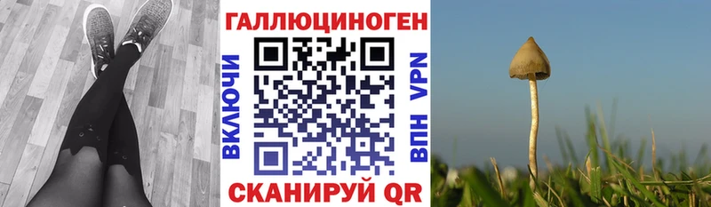 хочу   Иноземцево  Галлюциногенные грибы MAGIC MUSHROOMS 